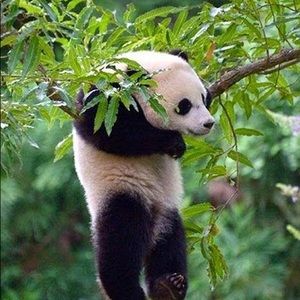 Meet your Posher, Sabrina